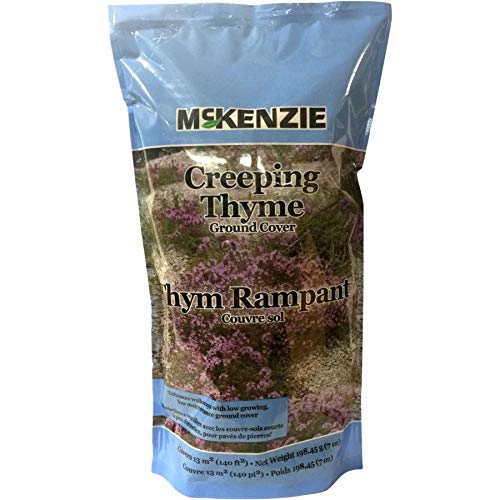 2 X 198g Creeping Thyme Mix Flower Seeds (2 Total Units)