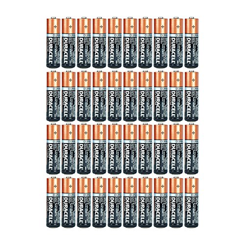 Duracell Coppertop AA Alkaline Batteries (40 count)